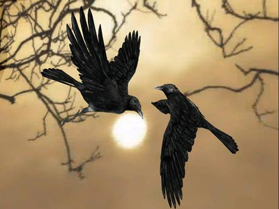 Dark Crow Deals