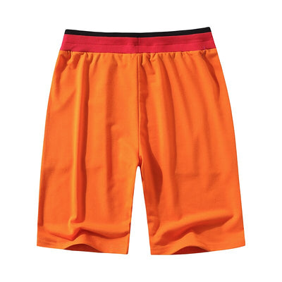 Dragonball Shorts